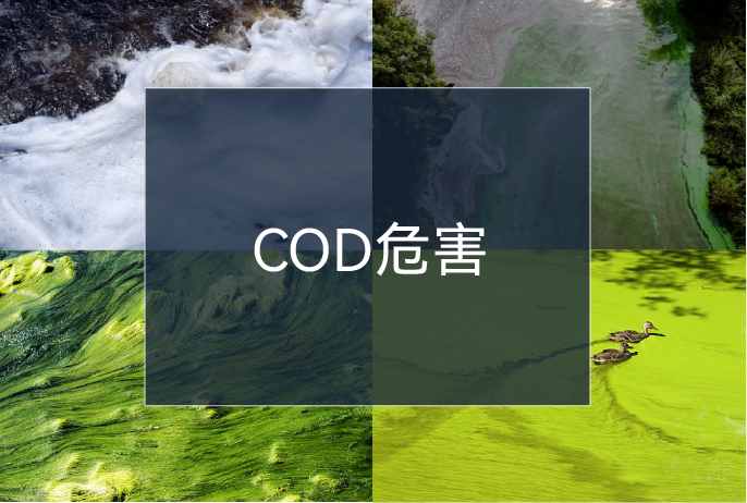 20230609131806_90246 iSlot¹Ù·½ÍøÕ¾ - ÒýÁ쳱ˮ